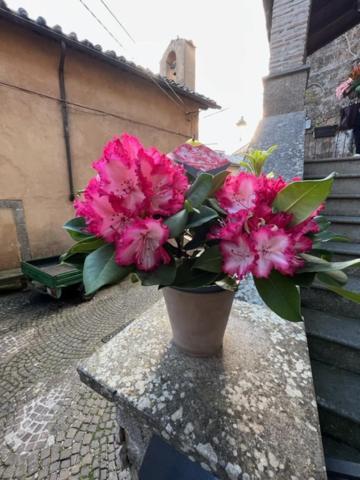 La Rocchetta Villa Sutri Bagian luar foto